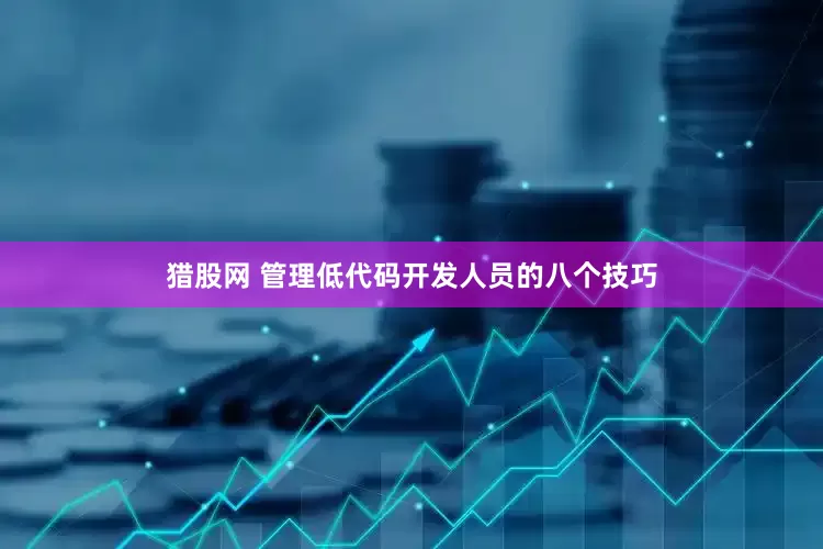 猎股网 管理低代码开发人员的八个技巧